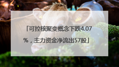 可控核聚变概念下跌4.07%，主力资金净流出57股