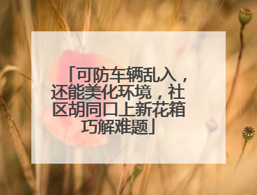 可防车辆乱入，还能美化环境，社区胡同口上新花箱巧解难题