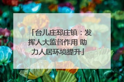 台儿庄邳庄镇：发挥人大监督作用 助力人居环境提升