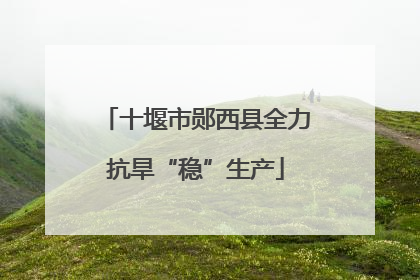 十堰市郧西县全力抗旱“稳”生产
