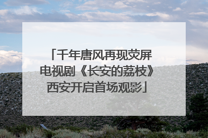 千年唐风再现荧屏 电视剧《长安的荔枝》西安开启首场观影