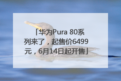 华为Pura 80系列来了，起售价6499元，6月14日起开售