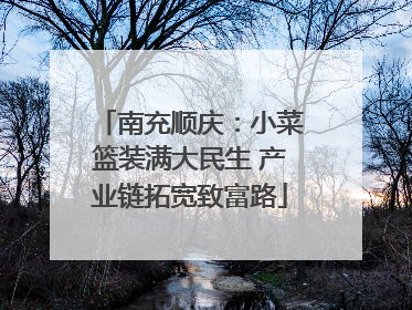 南充顺庆：小菜篮装满大民生 产业链拓宽致富路