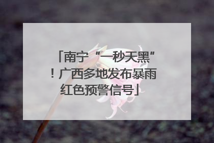 南宁“一秒天黑”！广西多地发布暴雨红色预警信号