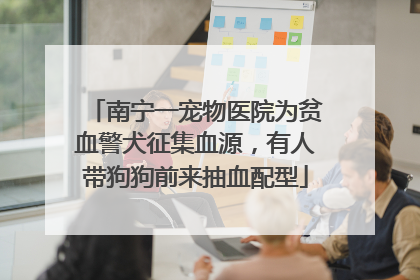南宁一宠物医院为贫血警犬征集血源，有人带狗狗前来抽血配型