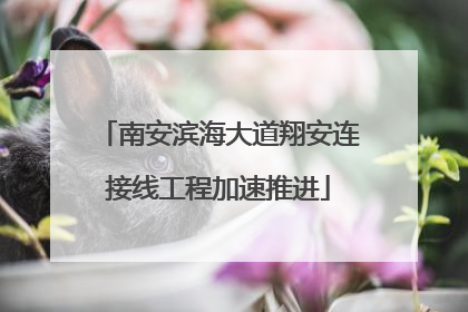 南安滨海大道翔安连接线工程加速推进