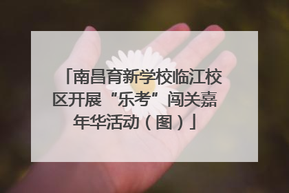 南昌育新学校临江校区开展“乐考”闯关嘉年华活动（图）