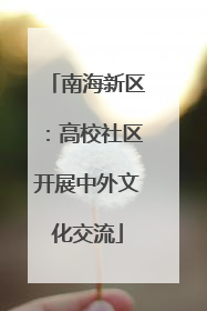 南海新区：高校社区开展中外文化交流