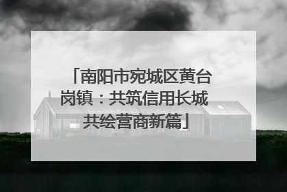 南阳市宛城区黄台岗镇：共筑信用长城 共绘营商新篇