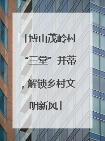 博山茂岭村“三堂”并蒂，解锁乡村文明新风