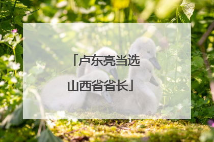 卢东亮当选山西省省长