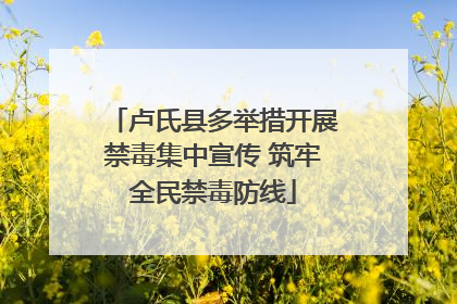 卢氏县多举措开展禁毒集中宣传 筑牢全民禁毒防线