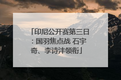 印尼公开赛第三日：国羽焦点战 石宇奇、李诗沣领衔