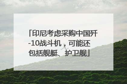 印尼考虑采购中国歼-10战斗机，可能还包括舰艇、护卫舰