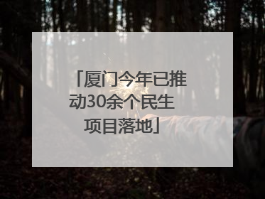厦门今年已推动30余个民生项目落地