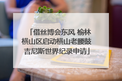 借丝博会东风 榆林横山区启动横山老腰鼓吉尼斯世界纪录申请