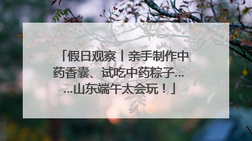 假日观察丨亲手制作中药香囊、试吃中药粽子……山东端午太会玩！