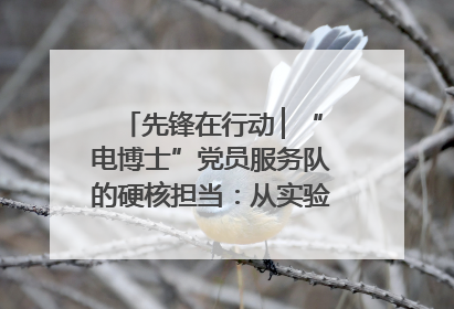 先锋在行动 ▏“电博士”党员服务队的硬核担当：从实验室到抗洪一线