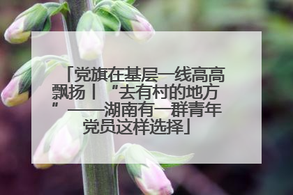 党旗在基层一线高高飘扬丨“去有村的地方”——湖南有一群青年党员这样选择