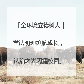 全环境立德树人｜学法明理护航成长，法治之光闪耀校园