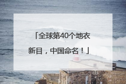 全球第40个地衣新目，中国命名！