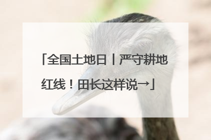 全国土地日丨严守耕地红线！田长这样说→
