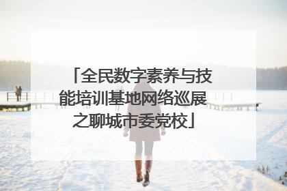 全民数字素养与技能培训基地网络巡展之聊城市委党校