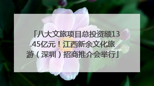 八大文旅项目总投资额13.45亿元！江西新余文化旅游（深圳）招商推介会举行
