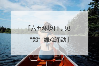 六五环境日，见“郑”绿意涌动