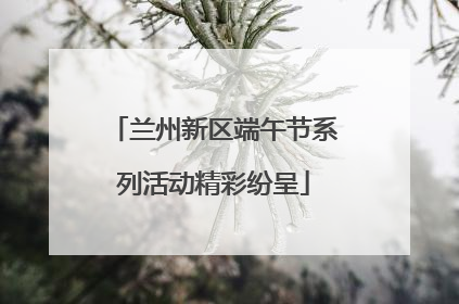 兰州新区端午节系列活动精彩纷呈