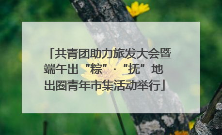 共青团助力旅发大会暨端午出“粽”·“抚”地出圈青年市集活动举行