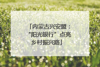 内蒙古兴安盟：“阳光银行”点亮乡村振兴路