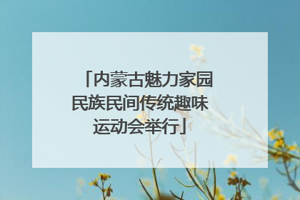 内蒙古魅力家园民族民间传统趣味运动会举行