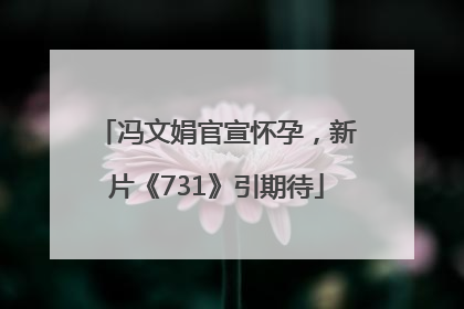 冯文娟官宣怀孕，新片《731》引期待