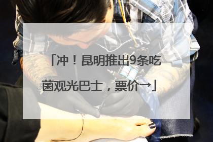冲！昆明推出9条吃菌观光巴士，票价→