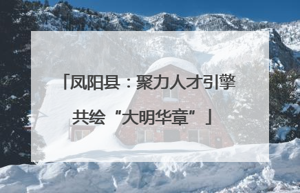 凤阳县：聚力人才引擎 共绘“大明华章”