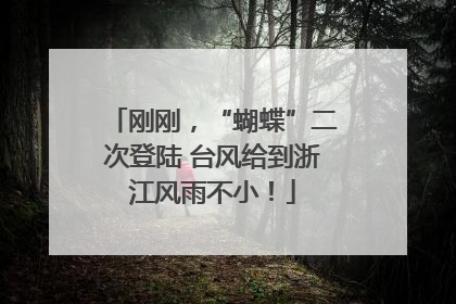 刚刚，“蝴蝶”二次登陆 台风给到浙江风雨不小！