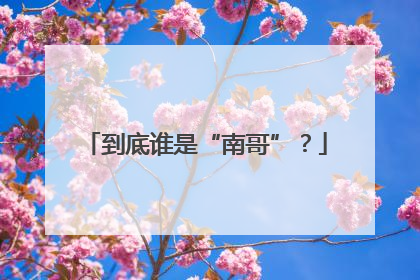 到底谁是“南哥”？