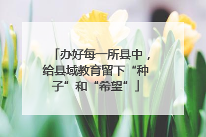 办好每一所县中，给县域教育留下“种子”和“希望”