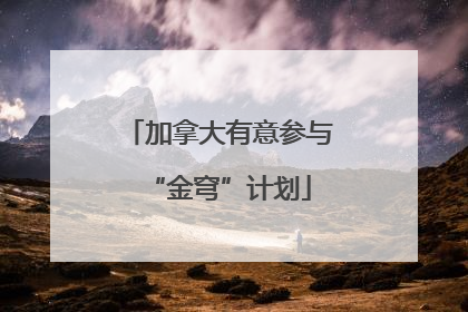 加拿大有意参与“金穹”计划