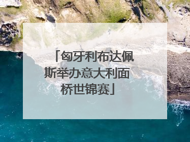 匈牙利布达佩斯举办意大利面桥世锦赛