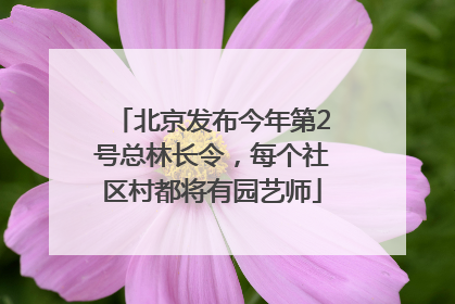 北京发布今年第2号总林长令，每个社区村都将有园艺师