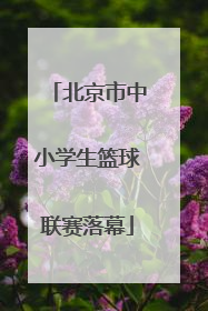 北京市中小学生篮球联赛落幕