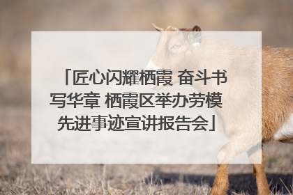 匠心闪耀栖霞 奋斗书写华章 栖霞区举办劳模先进事迹宣讲报告会