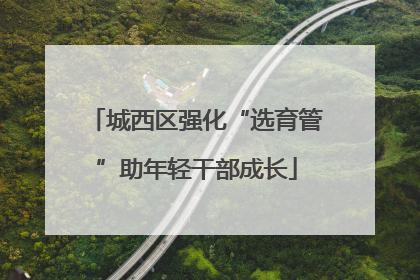 城西区强化“选育管”助年轻干部成长