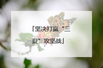 坚决打赢“三夏”攻坚战