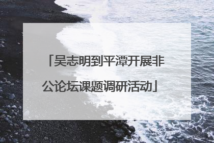 吴志明到平潭开展非公论坛课题调研活动