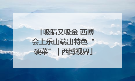 吸睛又吸金 西博会上乐山端出特色“硬菜”｜西博视界