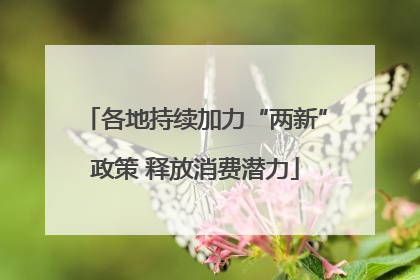各地持续加力“两新”政策 释放消费潜力