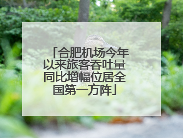 合肥机场今年以来旅客吞吐量同比增幅位居全国第一方阵